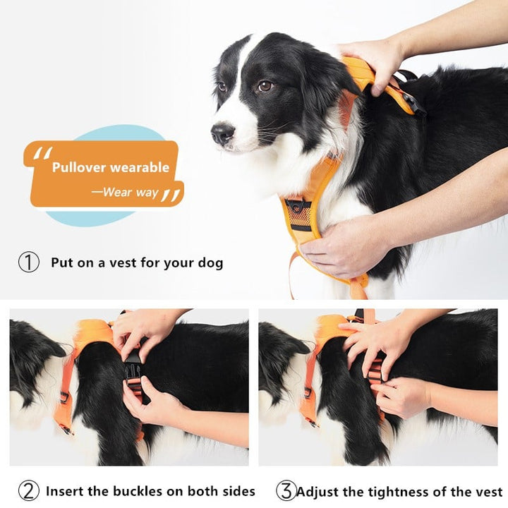 PawfectLeash - Nieuw hondenvest voor huisdieren 🔥 50% KORTING🔥