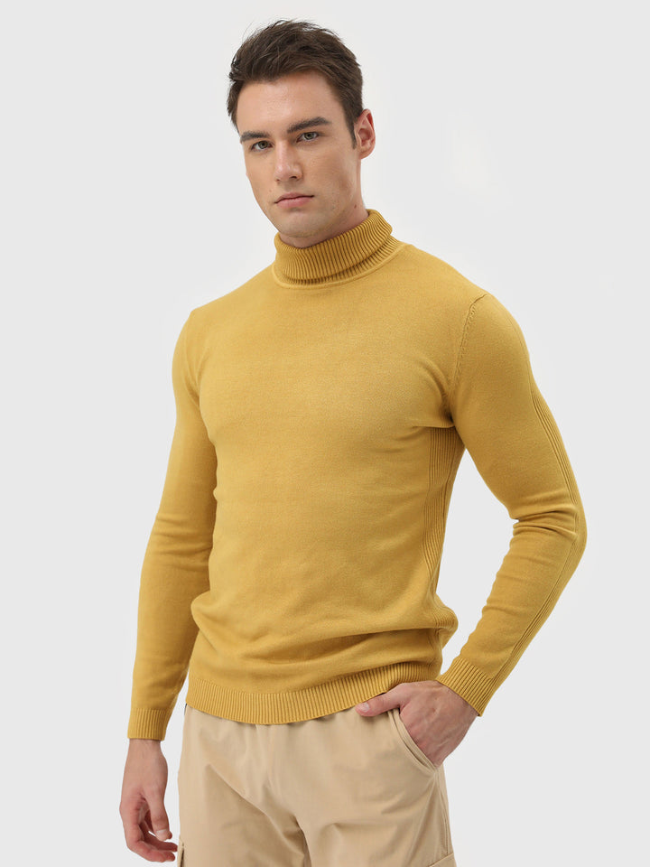 Cullen | Turtleneck Washable Sweater