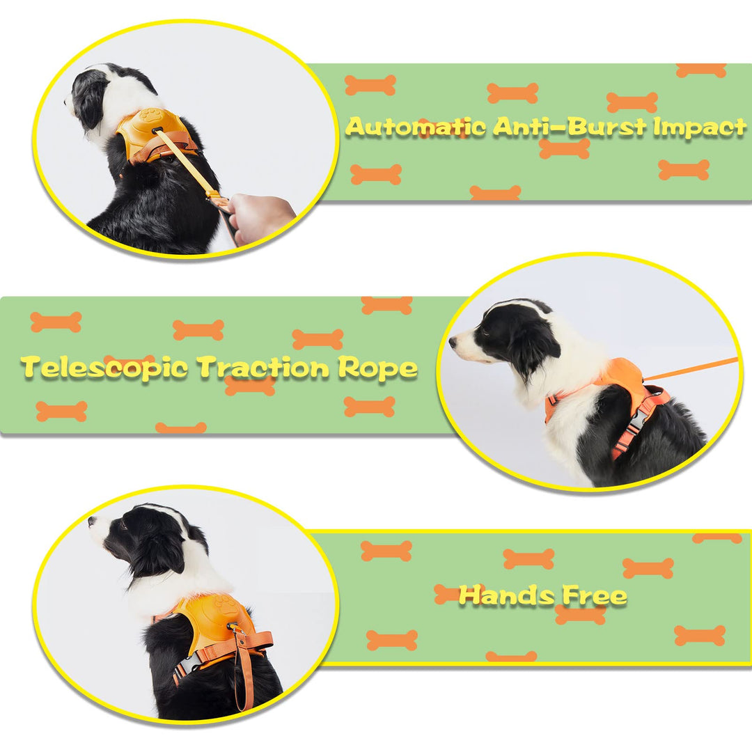 PawfectLeash - Nieuw hondenvest voor huisdieren 🔥 50% KORTING🔥