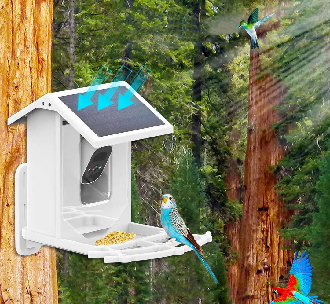 SolacePerch | Smart Solar Bird Feeder - Ontdek de natuur op een unieke manier!