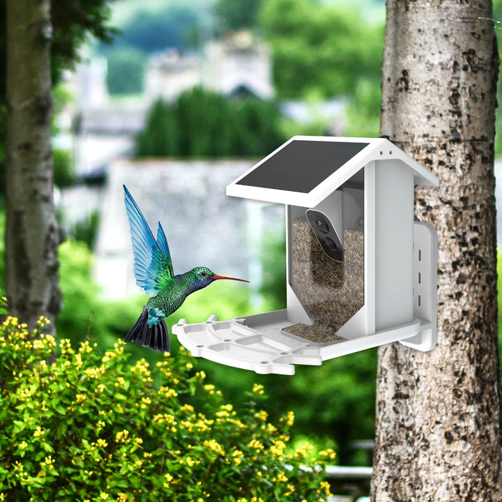 SolacePerch | Smart Solar Bird Feeder - Ontdek de natuur op een unieke manier!