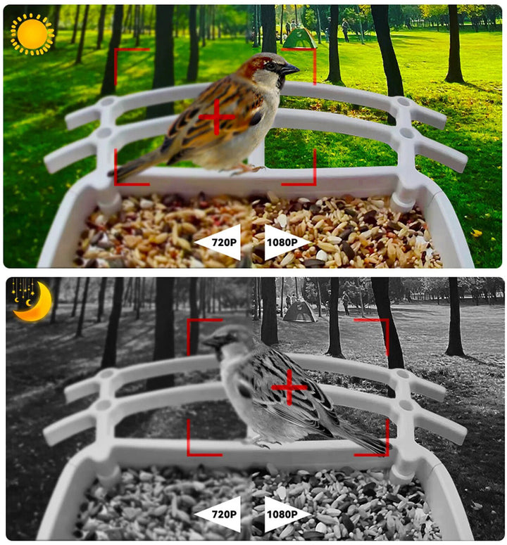 SolacePerch | Smart Solar Bird Feeder - Ontdek de natuur op een unieke manier!